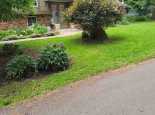 Ed A.'s Flower Bed Weeding service result