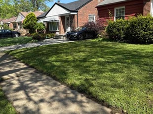 Rachel H.'s lawn service service result