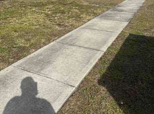 Axel I.'s lawn care service result