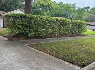 Tramaine R.'s lawn maintenance service result