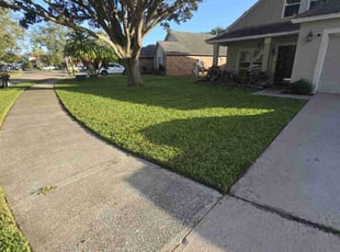 Zac R.'s lawn care service result