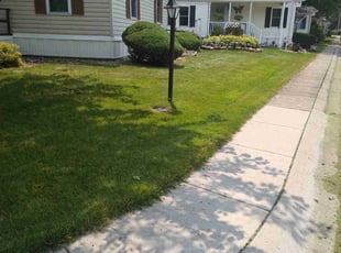 Terry R.'s turf care service result