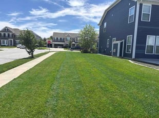 Patrick N.'s lawn service service result