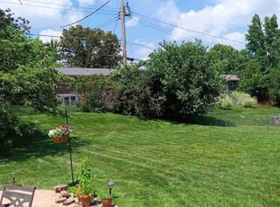 John E.'s lawn service service result