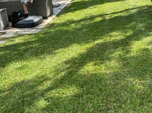 David D.'s lawn care services service result