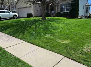 Billie W.'s grass cutting service result