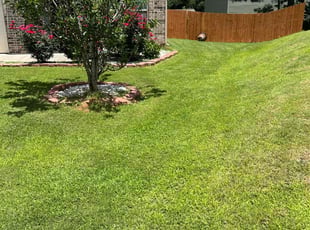 Keely S.'s grass maintenance service result