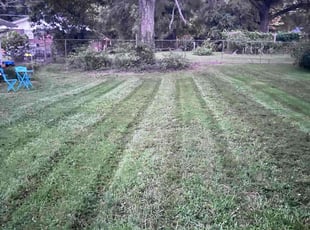 Chinedu O.'s lawn care service result