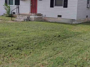 Abigail G.'s grass maintenance service result