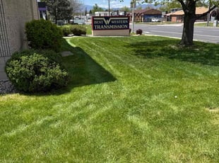 David A.'s grass maintenance service result