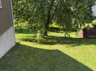 Christopher P.'s lawn care services service result