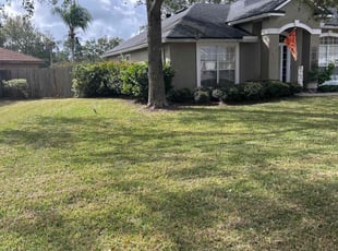 Denise T.'s turf maintenance service result