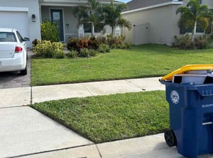 Amanda M.'s turf care service result