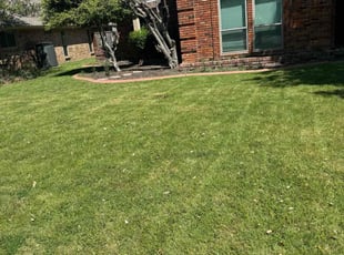 Kathy L.'s turf maintenance service result