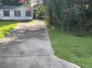 Evan B.'s turf care service result