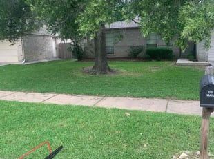 Sean N.'s grass cutting service result