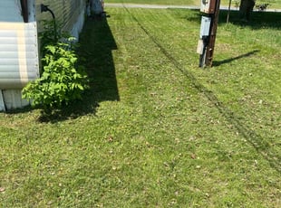 Steven G.'s lawn service service result