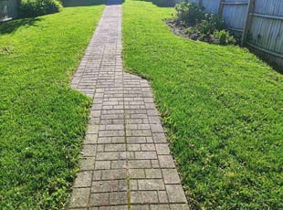 Damon R.'s turf maintenance service result