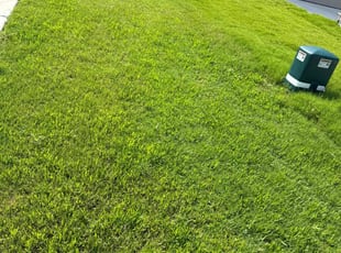 Sandy W.'s lawn care services service result
