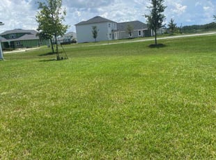 Angela A.'s grass cutting service result