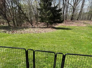 Jamie M.'s grass cutting service result