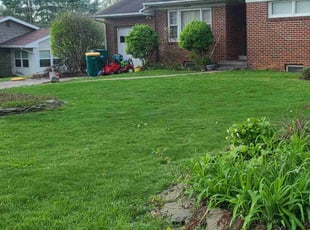Joann C.'s lawn care services service result