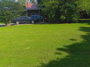 Enrique R.'s grass maintenance service result