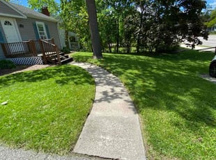 Mohamed A.'s grass maintenance service result