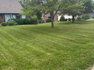 Sharon R.'s lawn service service result