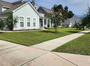 Bel D.'s lawn care service result