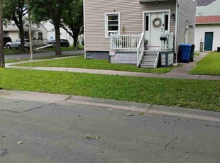 Henry H.'s grass maintenance service result