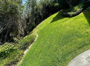 Jennifer L.'s lawn service service result