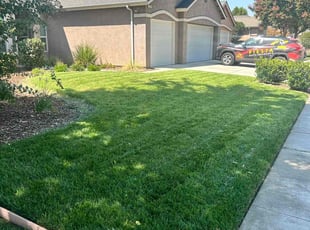 Jacob D.'s grass cutting service result