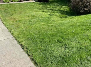 Clayton L.'s gardening service service result