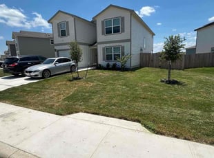 Tonese S.'s grass maintenance service result