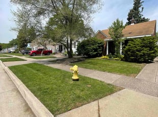 Stacey Z.'s grass cutting service result