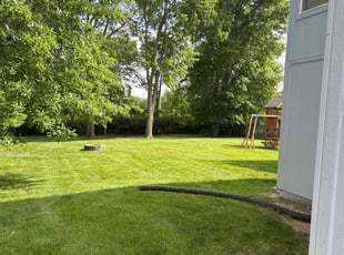 Allan L.'s grass maintenance service result
