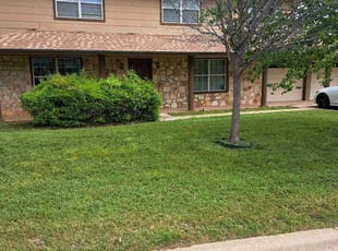Saudona P.'s lawn maintenance service result
