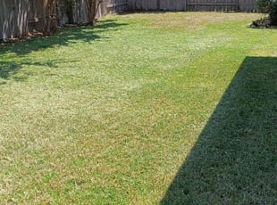 Michele C.'s lawn care service result