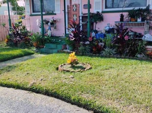 Curtis H.'s lawn care service result