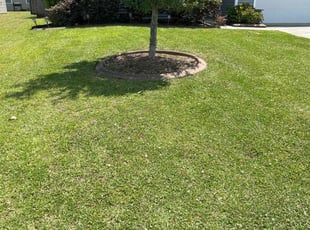 Bonnie C.'s lawn service service result