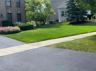 Neil W.'s turf care service result