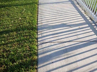 Makala L.'s grass maintenance service result