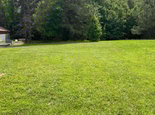 Larry L.'s lawn care service result