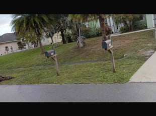 Kay B.'s lawn care service result