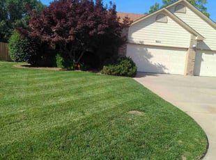 David R.'s lawn service service result