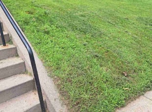 Karen R.'s turf care service result