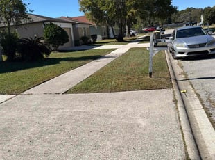 Ferrnando L.'s turf maintenance service result