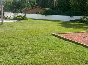 Scott I.'s turf maintenance service result