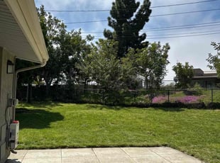 Michael M.'s Cleanups service result